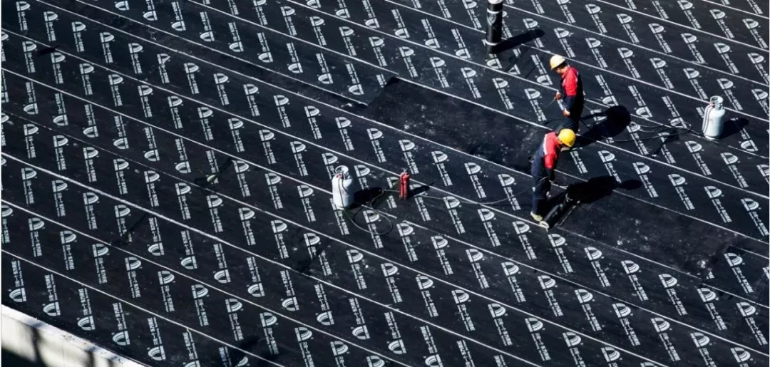 bte365官网-不凡成就非凡,相信品牌力量