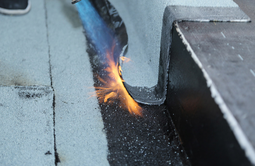 bte365官网-不凡成就非凡,相信品牌力量