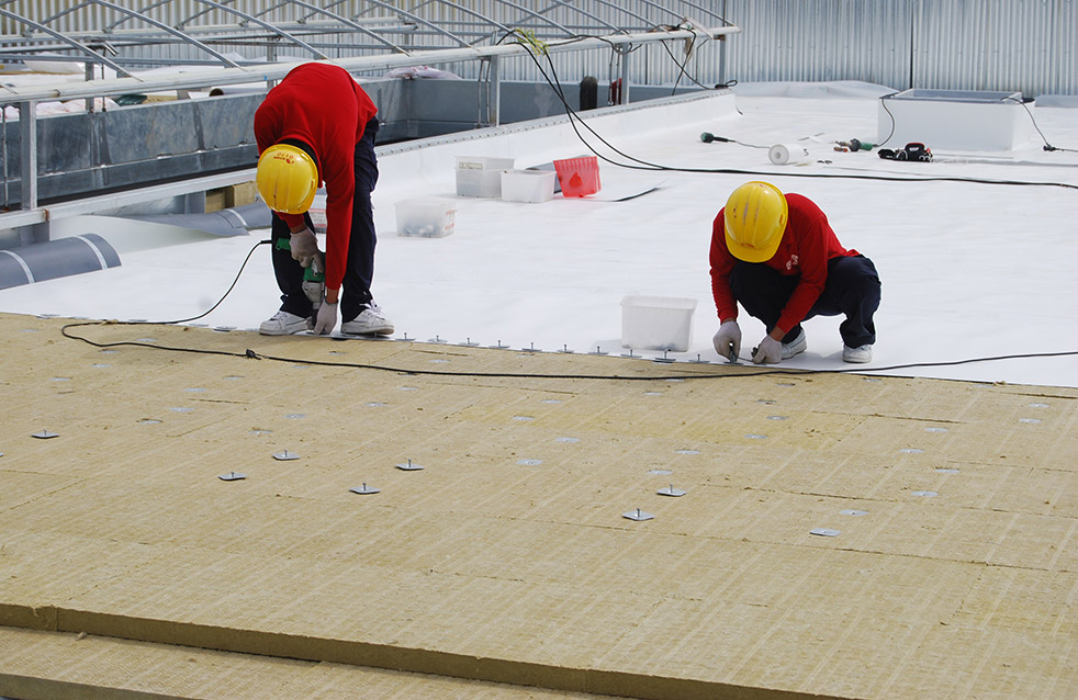 bte365官网-不凡成就非凡,相信品牌力量