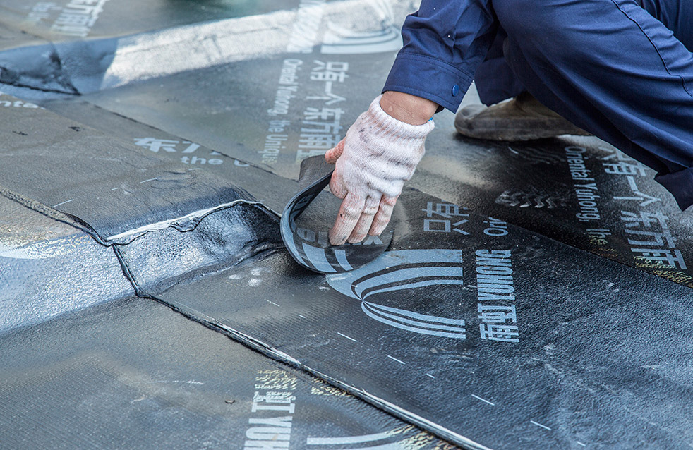 bte365官网-不凡成就非凡,相信品牌力量