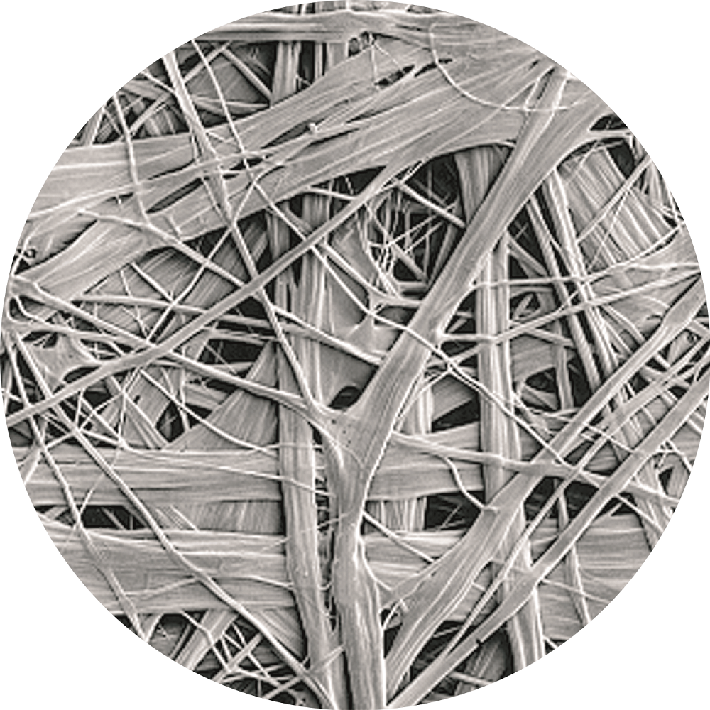 bte365官网-不凡成就非凡,相信品牌力量