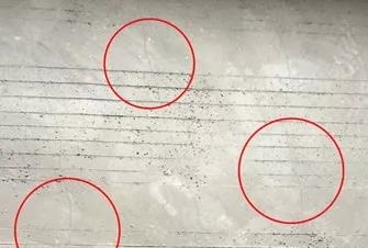 bte365官网-不凡成就非凡,相信品牌力量