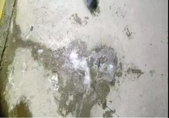 bte365官网-不凡成就非凡,相信品牌力量