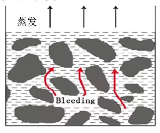 bte365官网-不凡成就非凡,相信品牌力量
