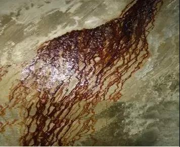 bte365官网-不凡成就非凡,相信品牌力量