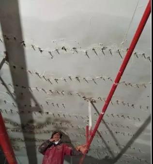 bte365官网-不凡成就非凡,相信品牌力量