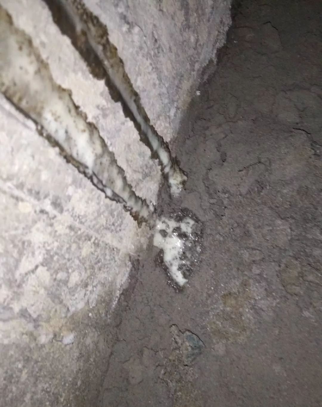 bte365官网-不凡成就非凡,相信品牌力量