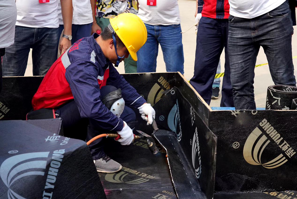 bte365官网-不凡成就非凡,相信品牌力量