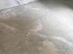 bte365官网-不凡成就非凡,相信品牌力量