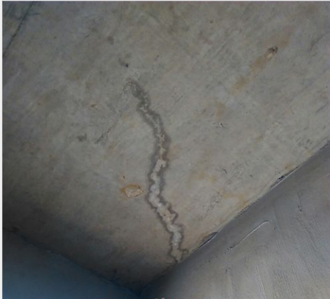 bte365官网-不凡成就非凡,相信品牌力量