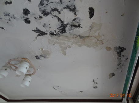 bte365官网-不凡成就非凡,相信品牌力量