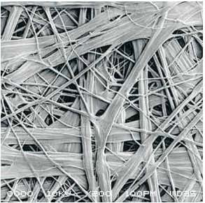 bte365官网-不凡成就非凡,相信品牌力量