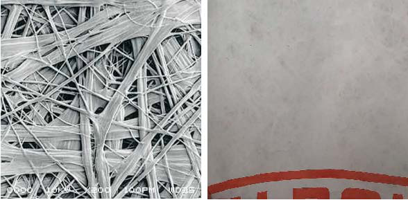 bte365官网-不凡成就非凡,相信品牌力量