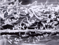 bte365官网-不凡成就非凡,相信品牌力量