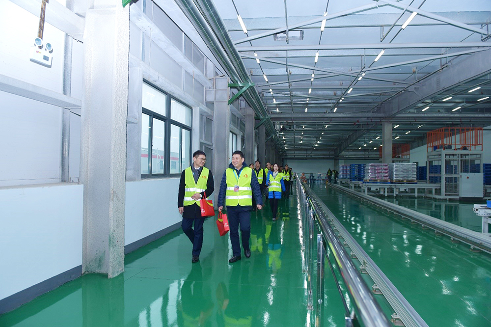 bte365官网-不凡成就非凡,相信品牌力量