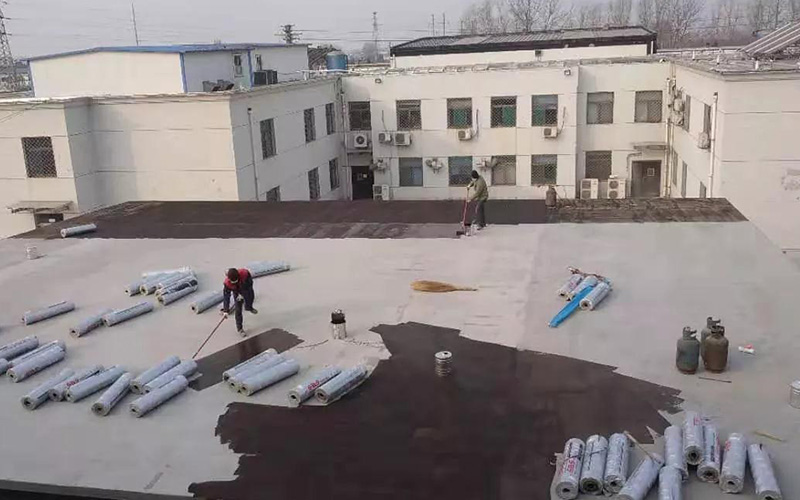 bte365官网-不凡成就非凡,相信品牌力量