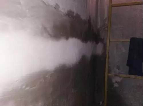 bte365官网-不凡成就非凡,相信品牌力量