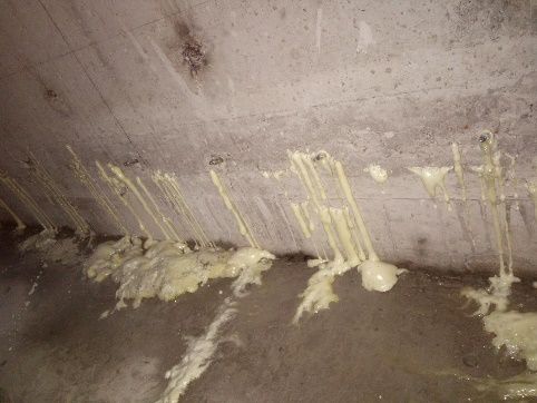 bte365官网-不凡成就非凡,相信品牌力量