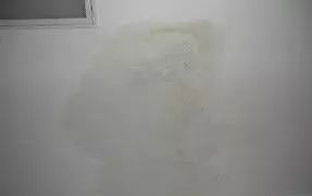 bte365官网-不凡成就非凡,相信品牌力量