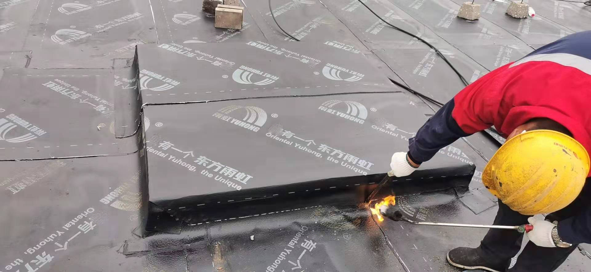 bte365官网-不凡成就非凡,相信品牌力量