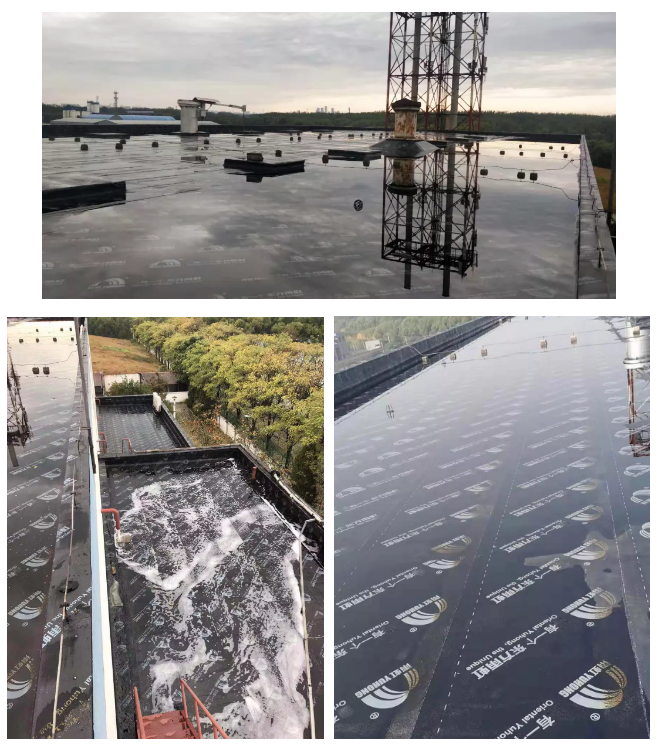 bte365官网-不凡成就非凡,相信品牌力量