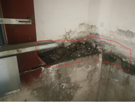 bte365官网-不凡成就非凡,相信品牌力量