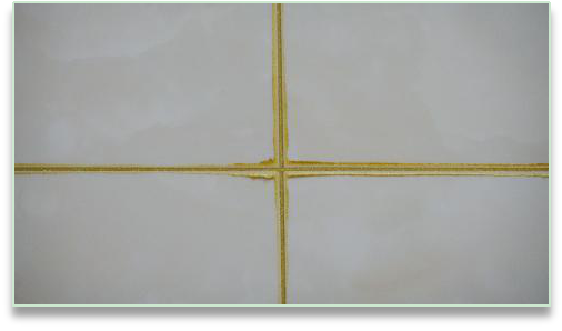 bte365官网-不凡成就非凡,相信品牌力量