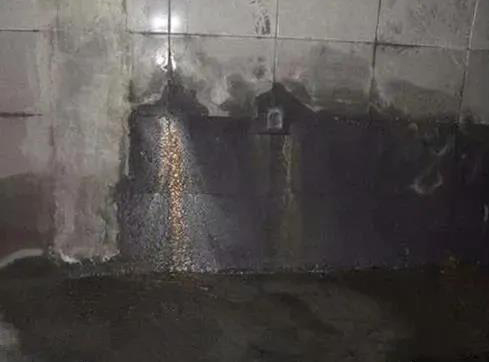 bte365官网-不凡成就非凡,相信品牌力量