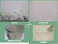 bte365官网-不凡成就非凡,相信品牌力量