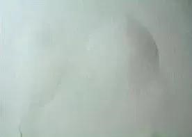 bte365官网-不凡成就非凡,相信品牌力量