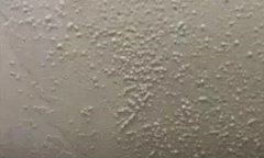 bte365官网-不凡成就非凡,相信品牌力量