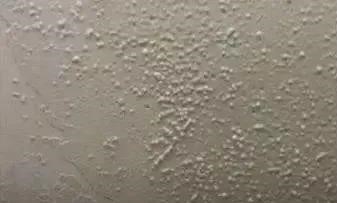 bte365官网-不凡成就非凡,相信品牌力量