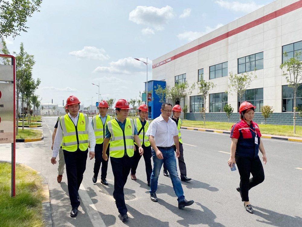 bte365官网-不凡成就非凡,相信品牌力量