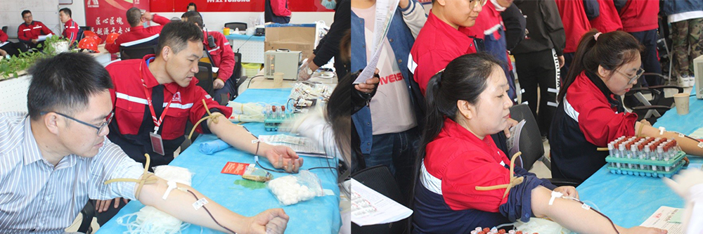 bte365官网-不凡成就非凡,相信品牌力量