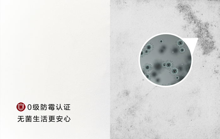 bte365官网-不凡成就非凡,相信品牌力量