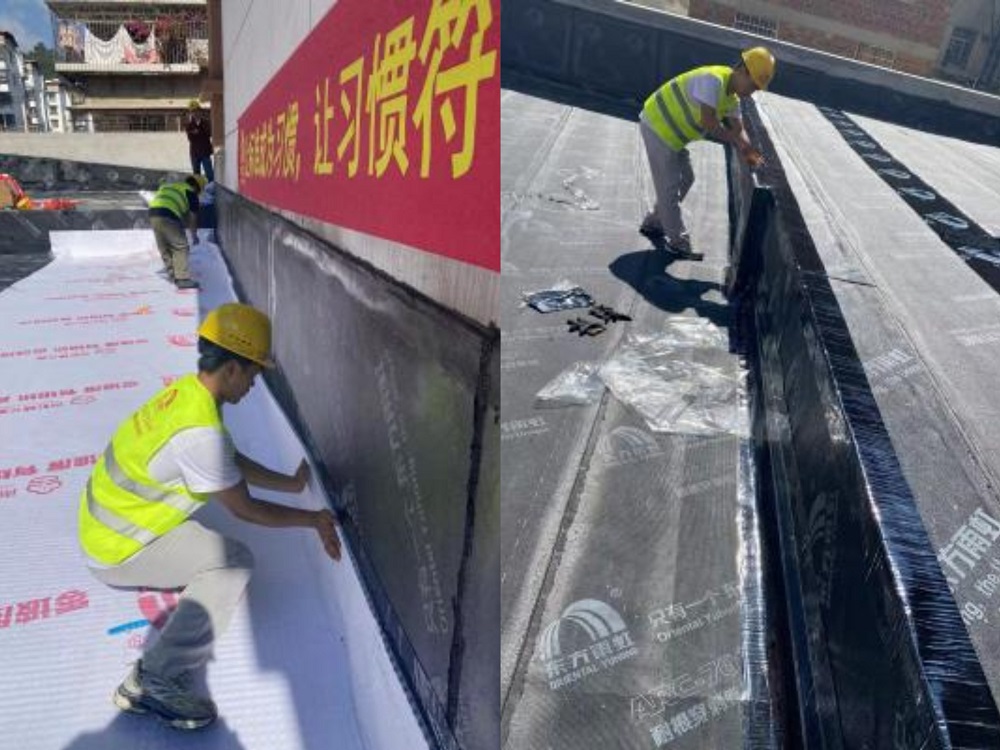 bte365官网-不凡成就非凡,相信品牌力量