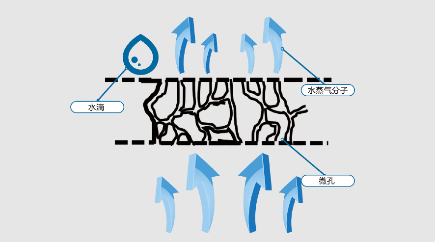 bte365官网-不凡成就非凡,相信品牌力量